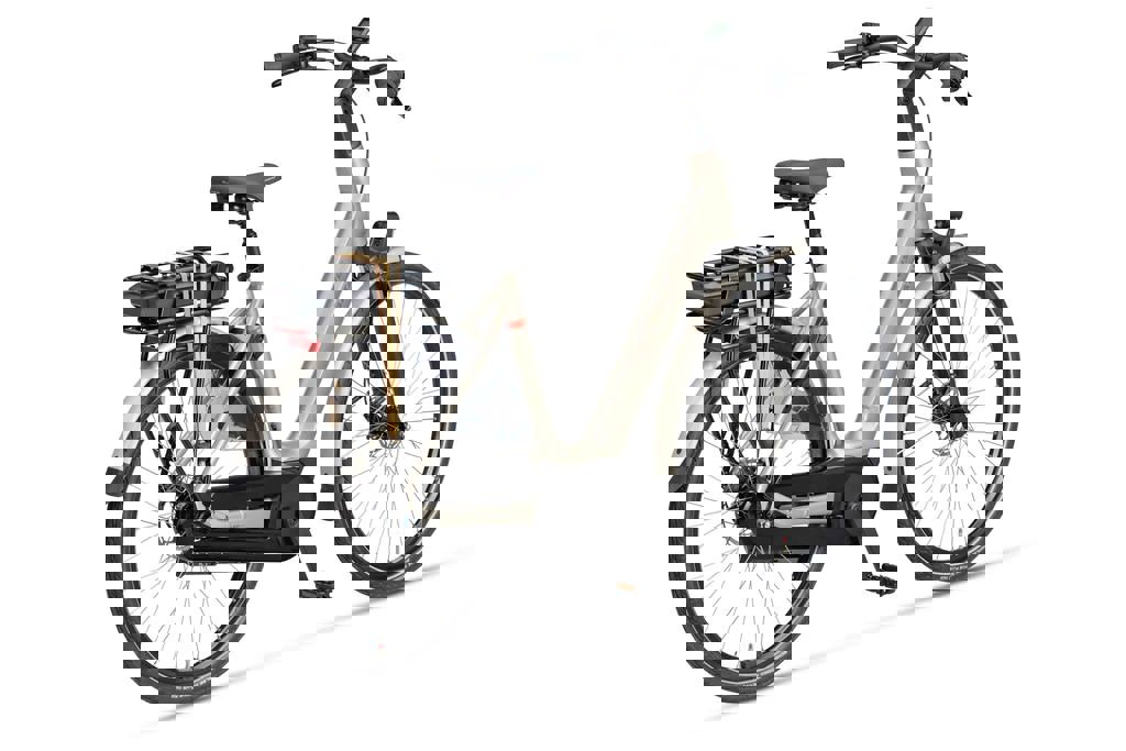 Finez E-go Active Plus lage instap