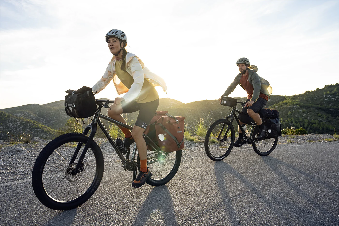 Back-Roller Plus enkele fietstas