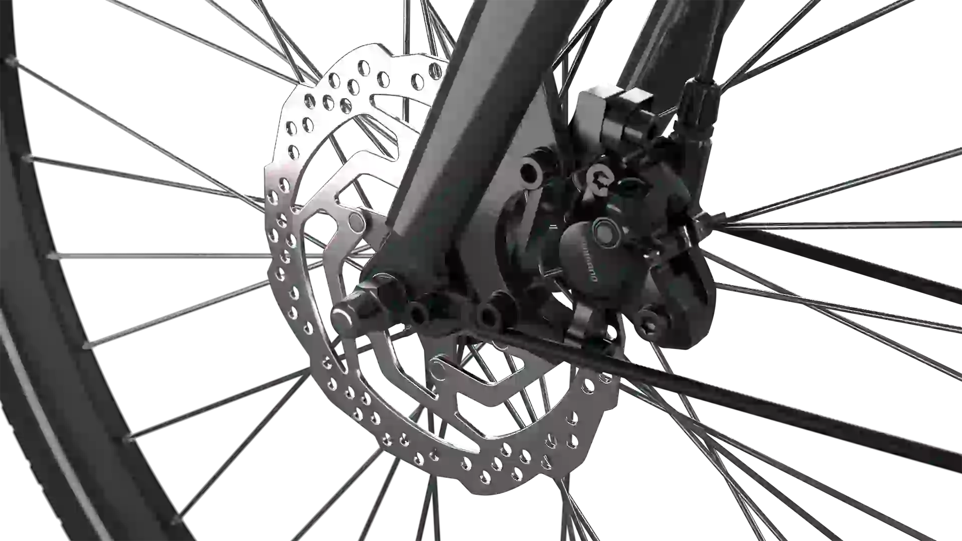 E-Blau SD MM 36V Belt heren