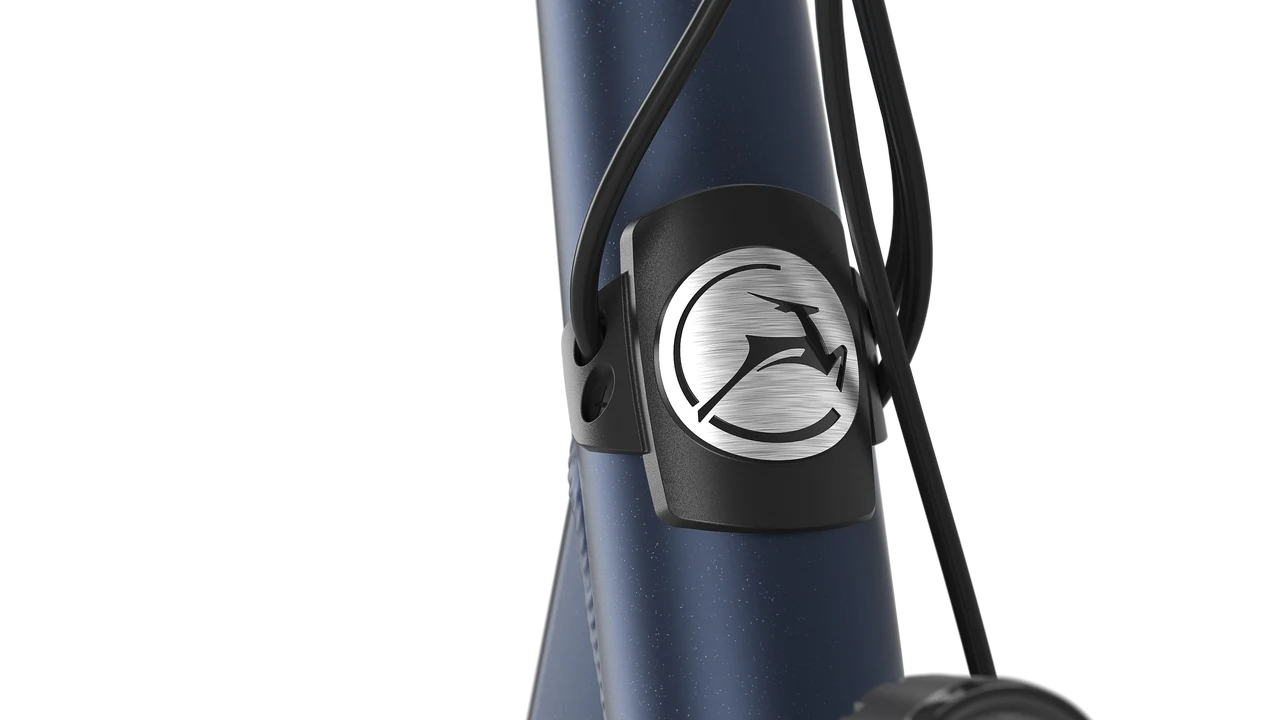 Orange C8 HMB Disc hoge instap