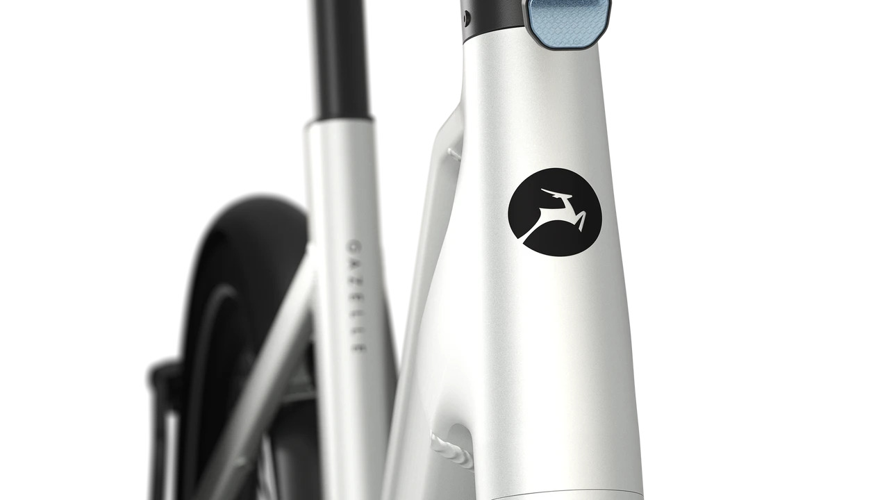 Cayo C310 lage instap