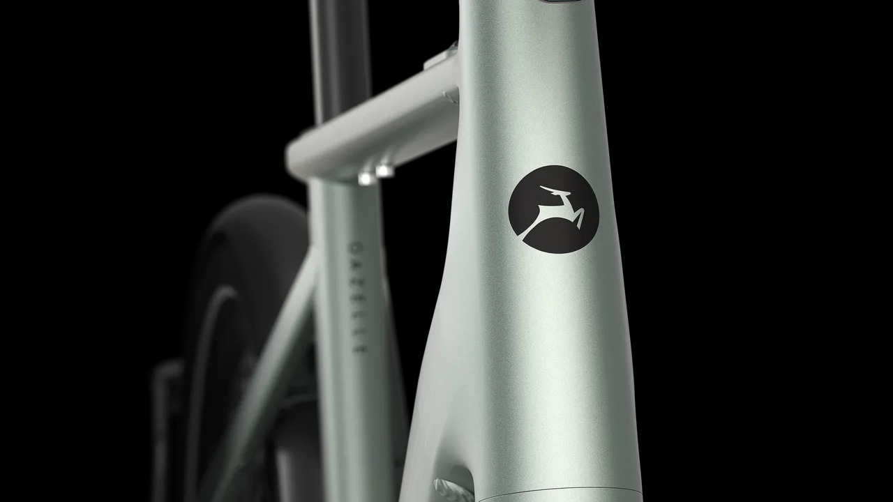 Cayo C310 hoge instap