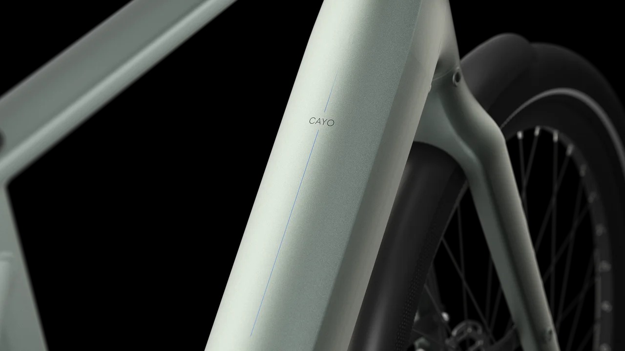 Cayo C310 hoge instap