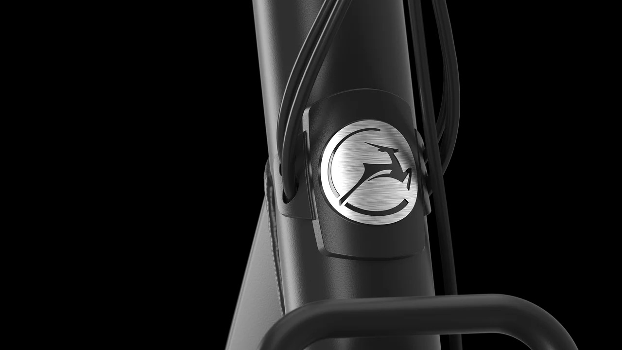 Bloom C310 lage instap