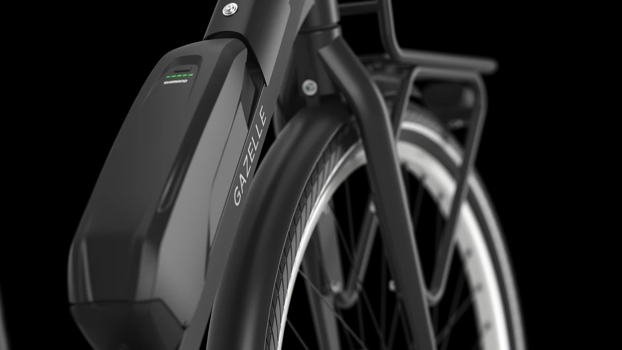 Bloom C310 lage instap