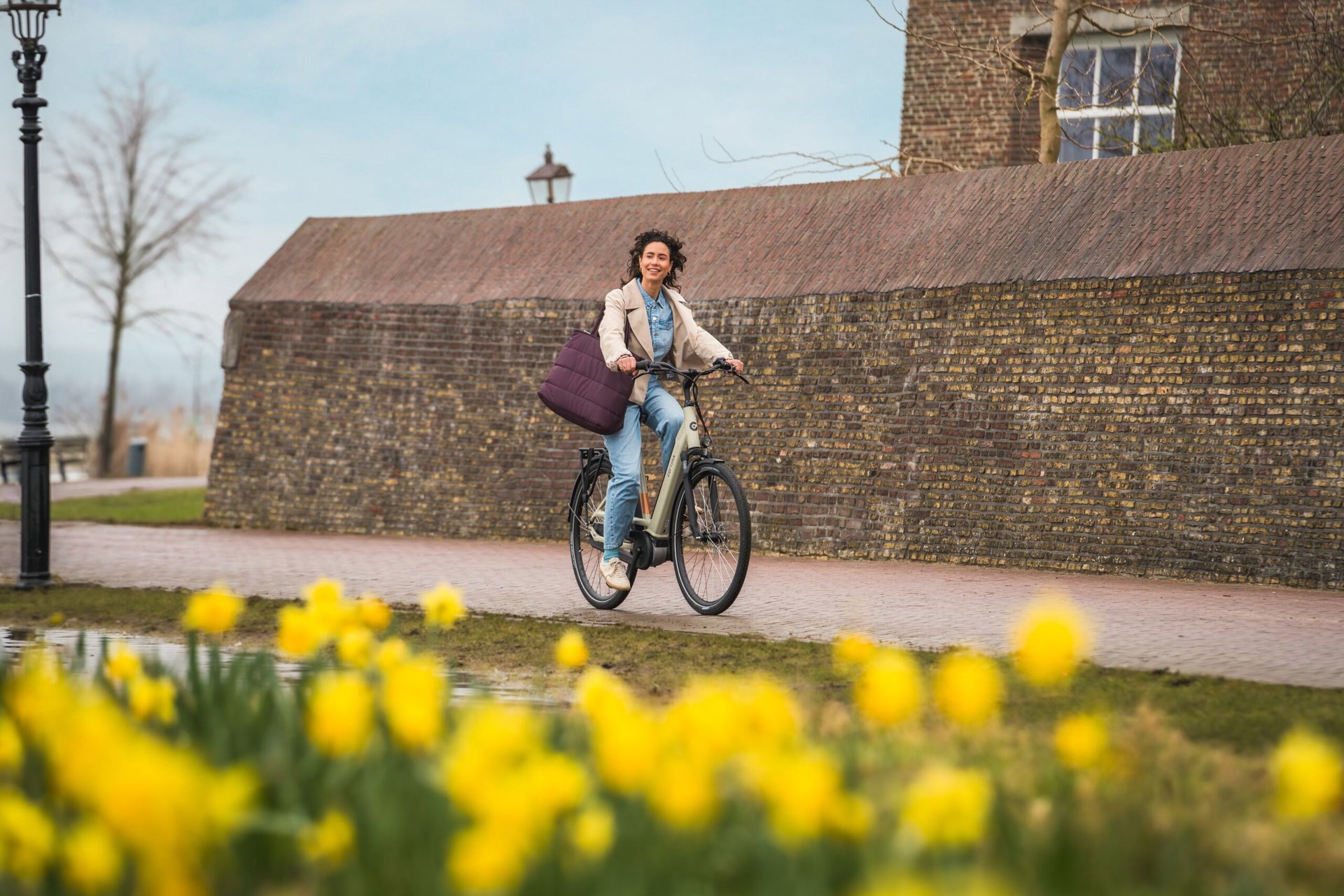 E-Fello N8 lage instap